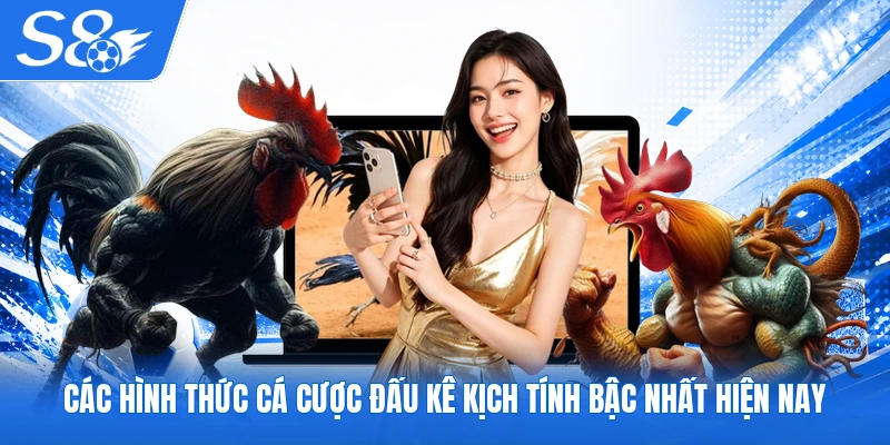 Các hình thức cá cược đấu kê kịch tính bậc nhất hiện nay
