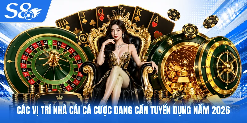 Các vị trí nhà cái cá cược đang cần tuyển dụng năm 2026