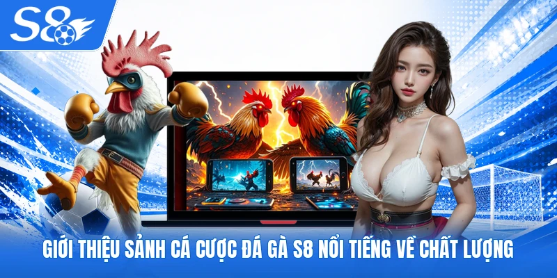 Giới thiệu sảnh cá cược đá gà S8 nổi tiếng về chất lượng